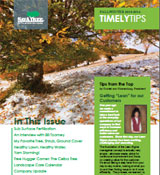 Timely Tips Fall Winter 2013