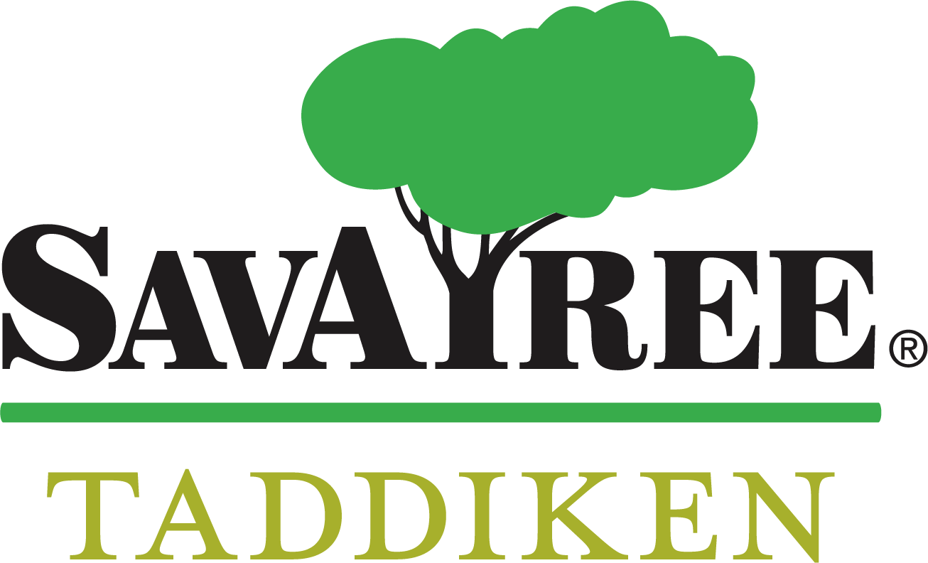 SavATree corporate logo plus SavATree Boulder partner company logo