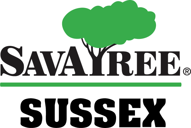 SavATree corporate logo plus SavATree Bridgeville partner company logo