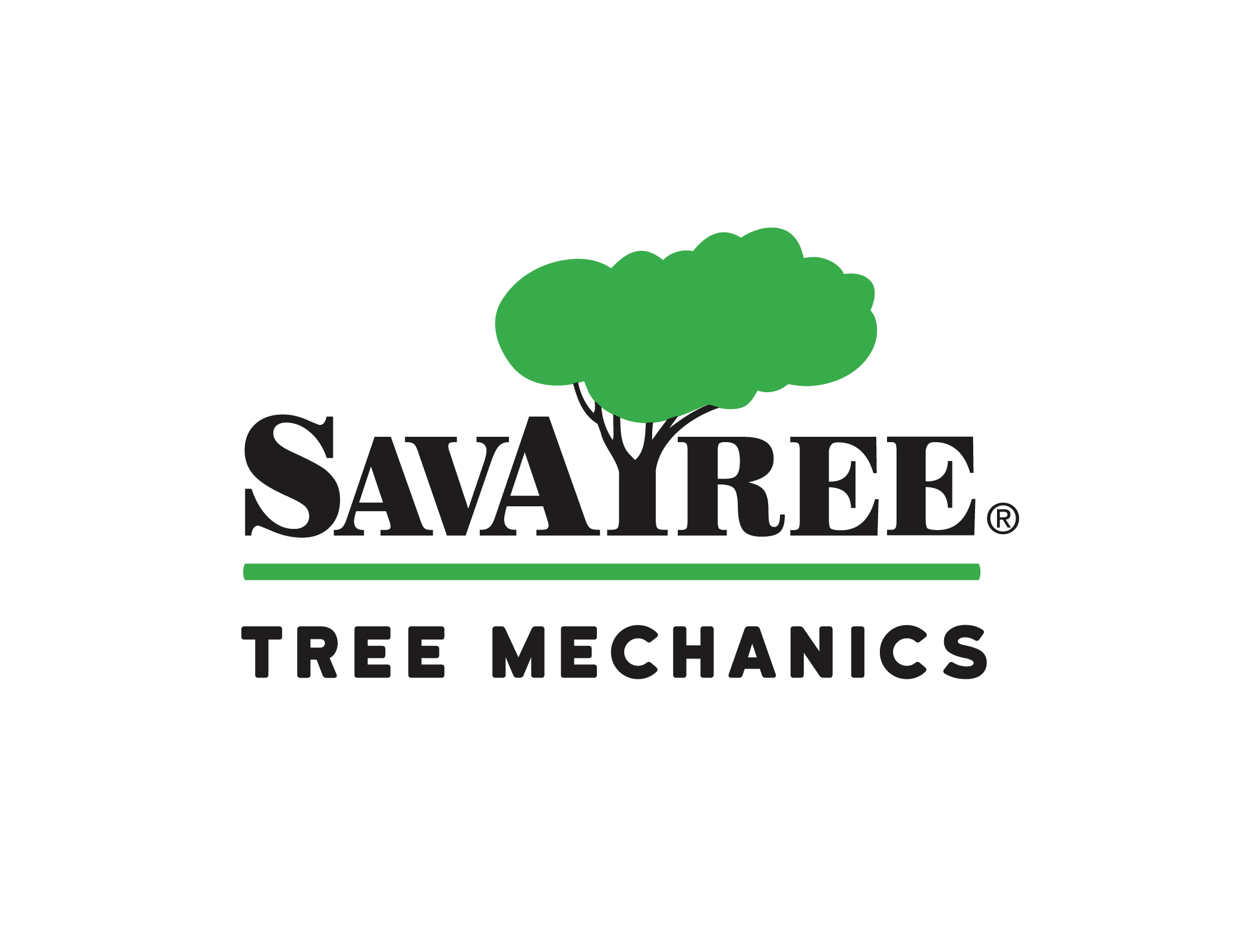 SavATree corporate logo plus SavATree Buffalo partner company logo