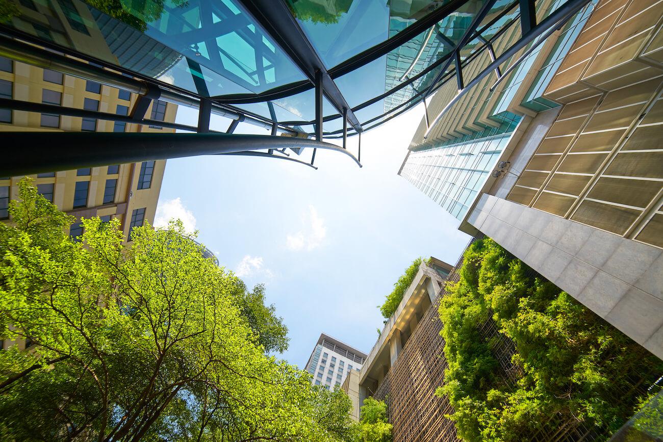 buildings from the ground looking up at the sky