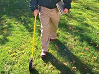 an arborist inspecting a lawn