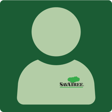 Certified Arborist Tree Services in Uintah, UT | SavATree