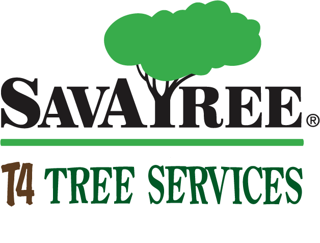 SavATree corporate logo plus SavATree Grand Junction partner company logo