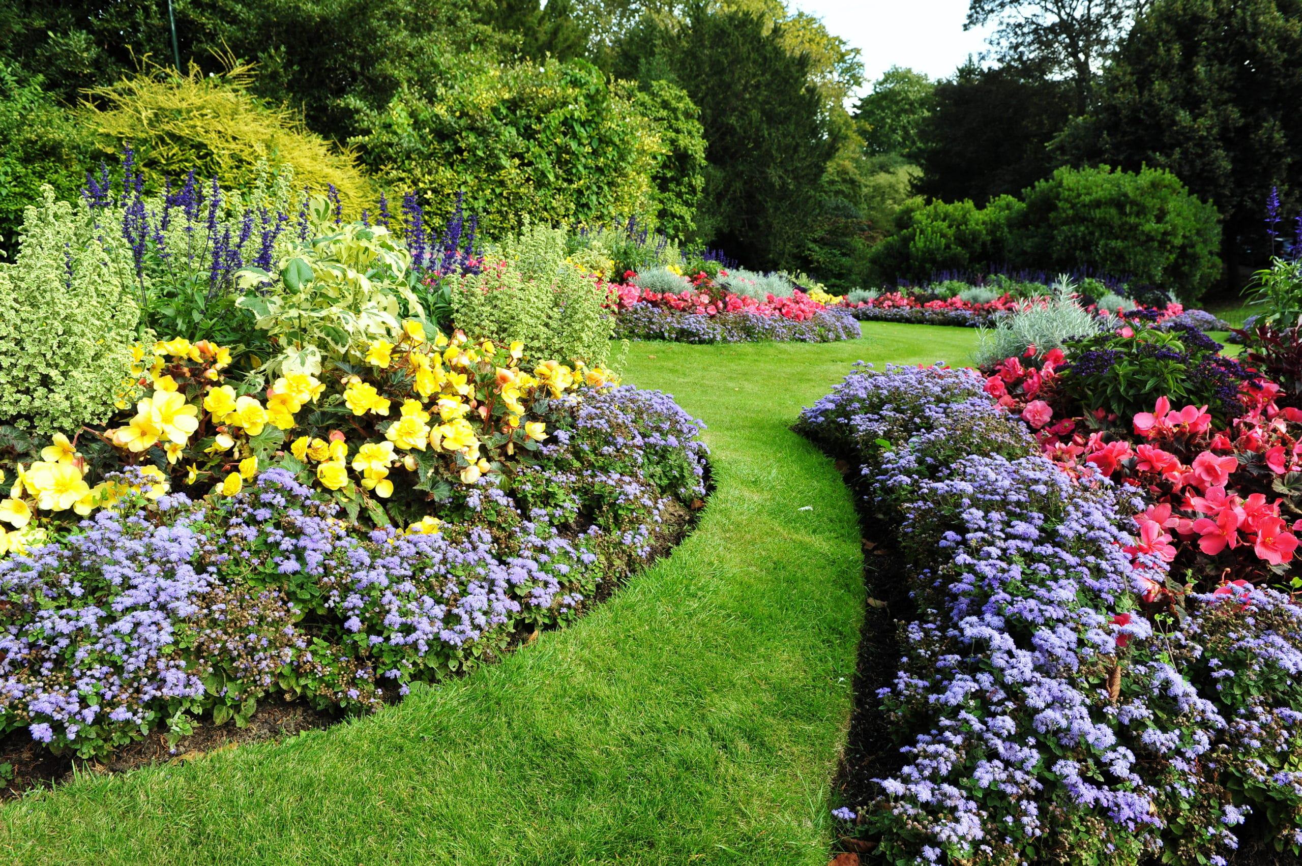 flower beds in a garden