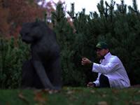 an arborist examining snow