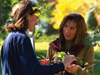 Woman pruning a plant