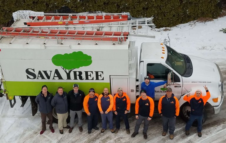 Certified Arborist in Barrington & Palatine, IL | Tree ...